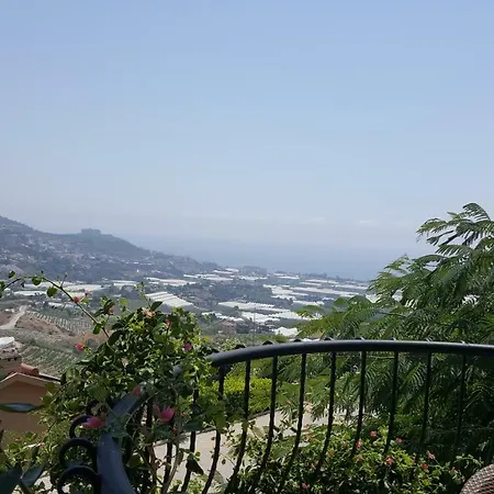 Gold City And Apartment Kargicak (Alanya)